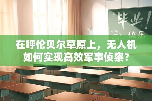 在呼伦贝尔草原上，无人机如何实现高效军事侦察？