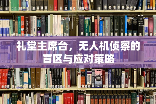 礼堂主席台，无人机侦察的盲区与应对策略
