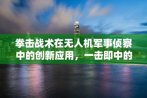 拳击战术在无人机军事侦察中的创新应用，一击即中的未来侦察模式？
