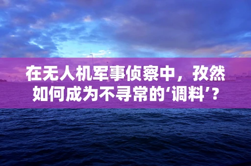 在无人机军事侦察中，孜然如何成为不寻常的‘调料’？