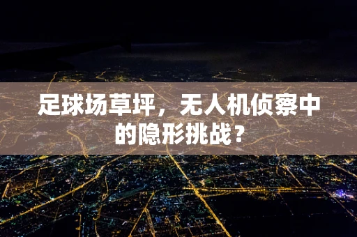 足球场草坪，无人机侦察中的隐形挑战？