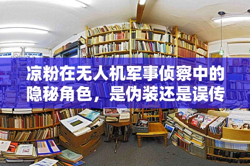 凉粉在无人机军事侦察中的隐秘角色，是伪装还是误传？