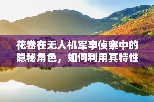 花卷在无人机军事侦察中的隐秘角色，如何利用其特性提升情报收集效率？
