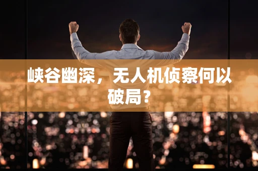 峡谷幽深，无人机侦察何以破局？