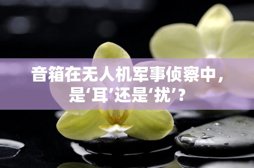 音箱在无人机军事侦察中，是‘耳’还是‘扰’？