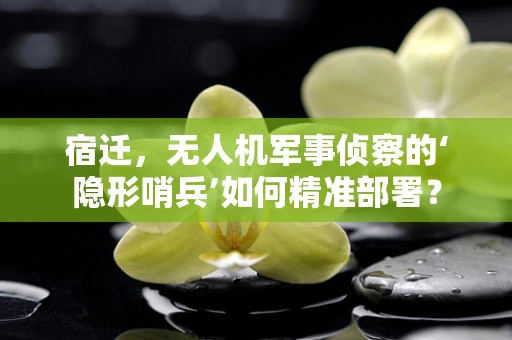 宿迁，无人机军事侦察的‘隐形哨兵’如何精准部署？