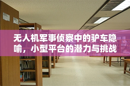 无人机军事侦察中的驴车隐喻，小型平台的潜力与挑战