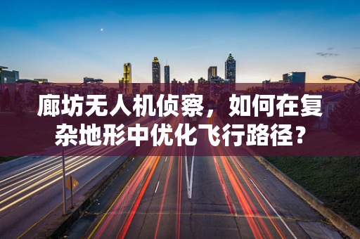 廊坊无人机侦察，如何在复杂地形中优化飞行路径？