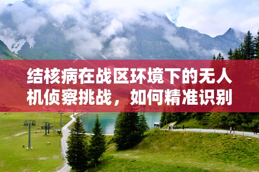 结核病在战区环境下的无人机侦察挑战，如何精准识别与防控？