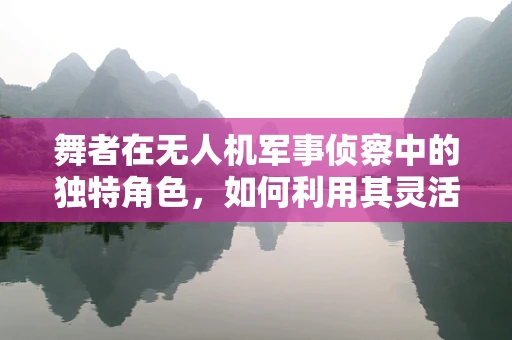 舞者在无人机军事侦察中的独特角色，如何利用其灵活性与隐蔽性？