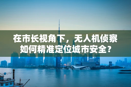 在市长视角下，无人机侦察如何精准定位城市安全？