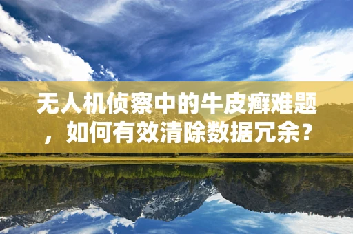 无人机侦察中的牛皮癣难题，如何有效清除数据冗余？