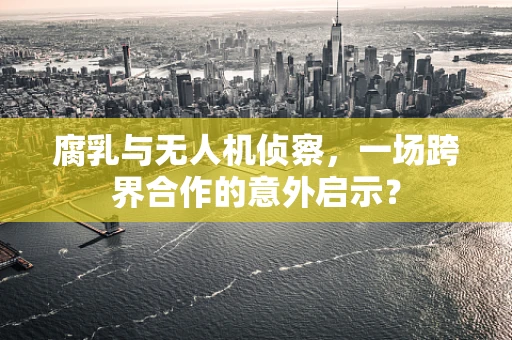 腐乳与无人机侦察，一场跨界合作的意外启示？