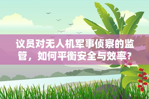 议员对无人机军事侦察的监管，如何平衡安全与效率？