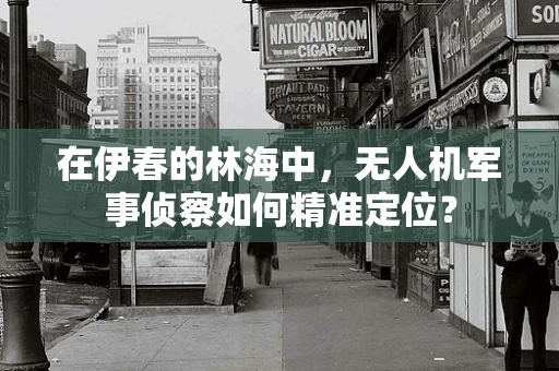 在伊春的林海中，无人机军事侦察如何精准定位？