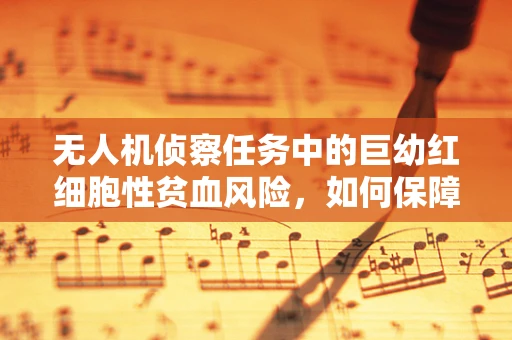 无人机侦察任务中的巨幼红细胞性贫血风险，如何保障飞行员的健康？