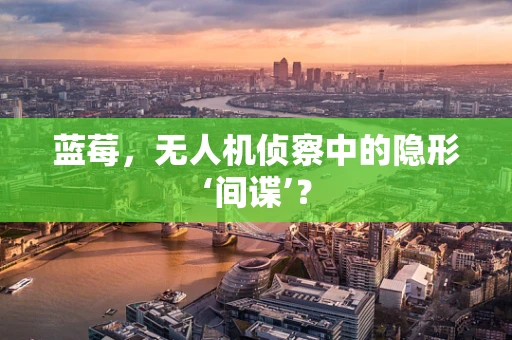 蓝莓，无人机侦察中的隐形‘间谍’？