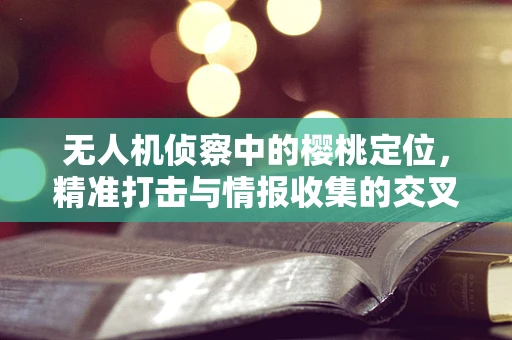 无人机侦察中的樱桃定位，精准打击与情报收集的交叉点