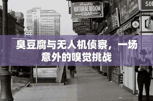 臭豆腐与无人机侦察，一场意外的嗅觉挑战