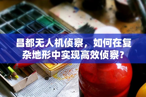 昌都无人机侦察，如何在复杂地形中实现高效侦察？