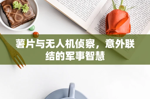 薯片与无人机侦察，意外联结的军事智慧
