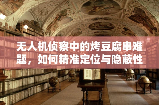 无人机侦察中的烤豆腐串难题，如何精准定位与隐蔽性并重？