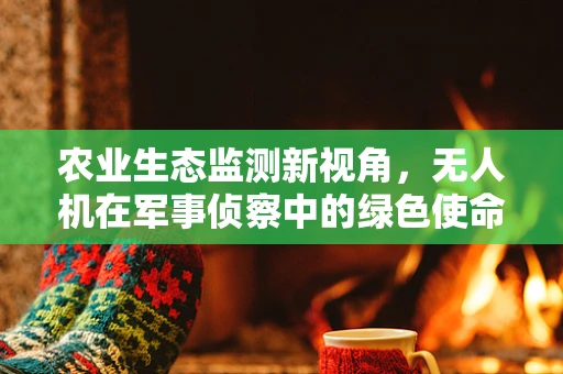 农业生态监测新视角，无人机在军事侦察中的绿色使命？