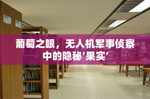 葡萄之眼，无人机军事侦察中的隐秘‘果实’