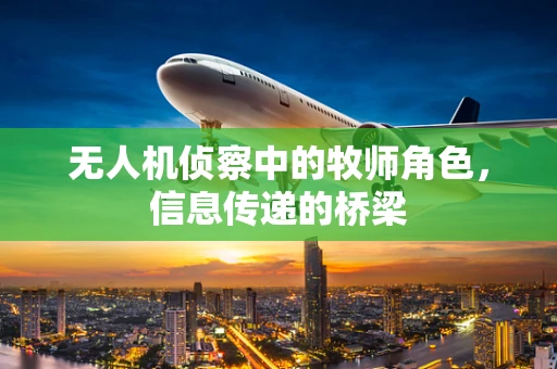 无人机侦察中的牧师角色，信息传递的桥梁