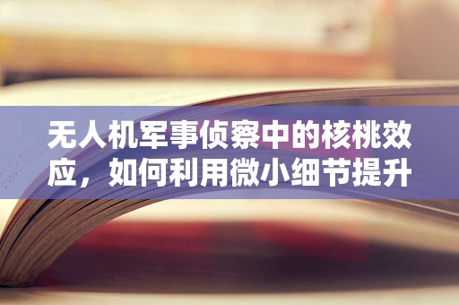 无人机军事侦察中的核桃效应，如何利用微小细节提升侦察效率？