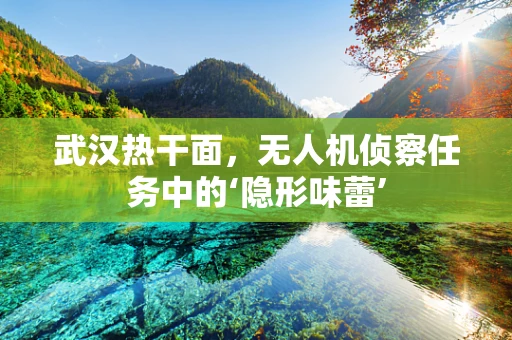 武汉热干面，无人机侦察任务中的‘隐形味蕾’
