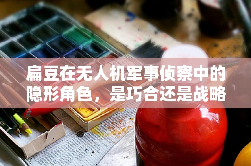 扁豆在无人机军事侦察中的隐形角色，是巧合还是战略部署？