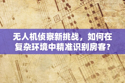 无人机侦察新挑战，如何在复杂环境中精准识别房客？