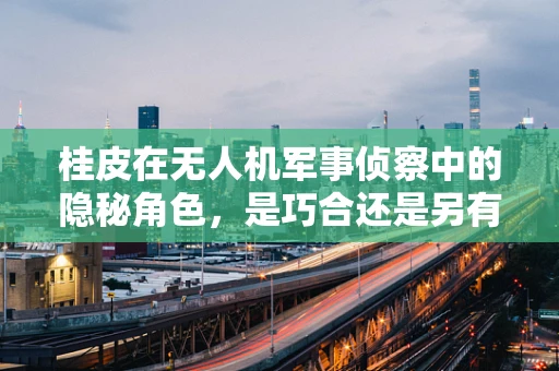 桂皮在无人机军事侦察中的隐秘角色，是巧合还是另有玄机？