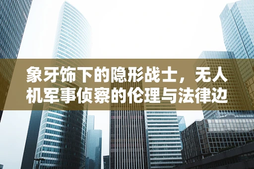 象牙饰下的隐形战士，无人机军事侦察的伦理与法律边界？