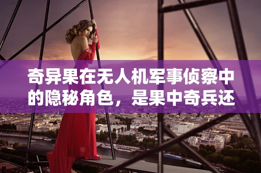 奇异果在无人机军事侦察中的隐秘角色，是果中奇兵还是技术噱头？