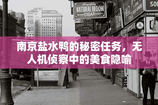 南京盐水鸭的秘密任务，无人机侦察中的美食隐喻