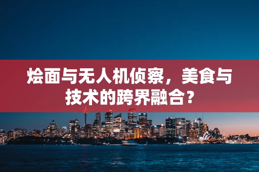 烩面与无人机侦察，美食与技术的跨界融合？