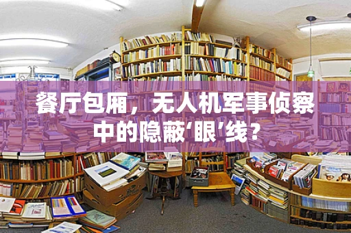 餐厅包厢，无人机军事侦察中的隐蔽‘眼’线？