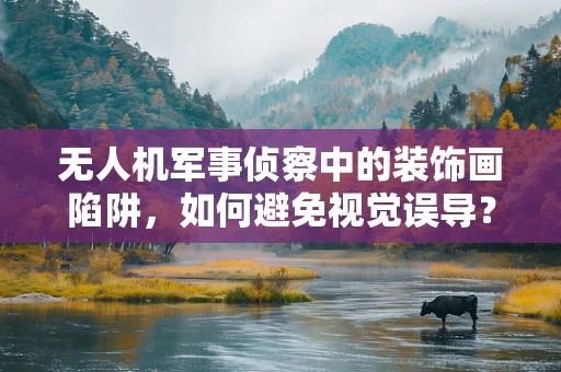 无人机军事侦察中的装饰画陷阱，如何避免视觉误导？
