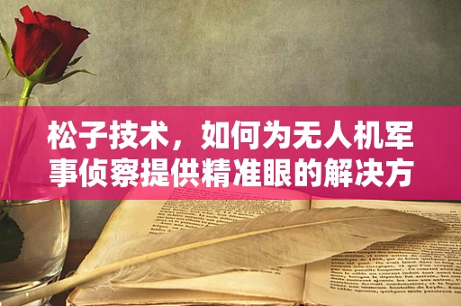 松子技术，如何为无人机军事侦察提供精准眼的解决方案？