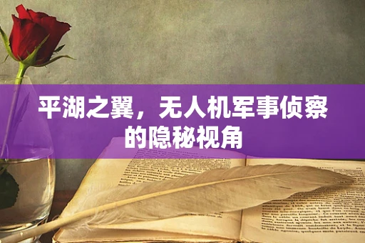平湖之翼，无人机军事侦察的隐秘视角