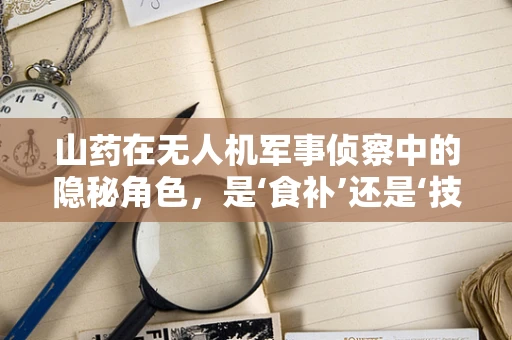 山药在无人机军事侦察中的隐秘角色，是‘食补’还是‘技术助攻’？
