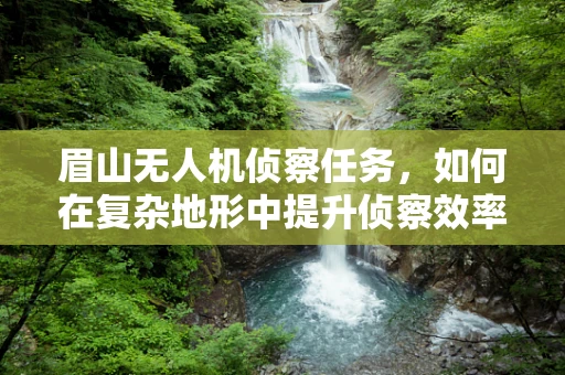 眉山无人机侦察任务，如何在复杂地形中提升侦察效率？