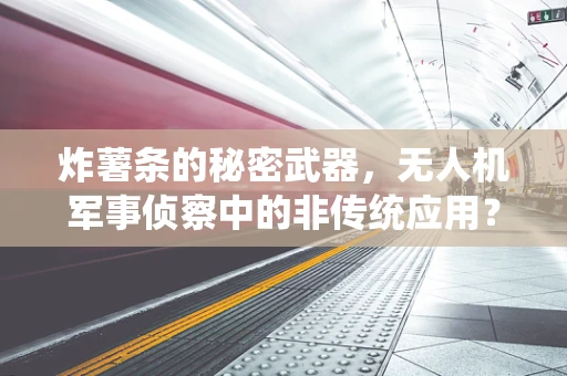 炸薯条的秘密武器，无人机军事侦察中的非传统应用？