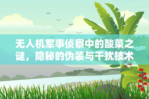 无人机军事侦察中的酸菜之谜，隐秘的伪装与干扰技术？