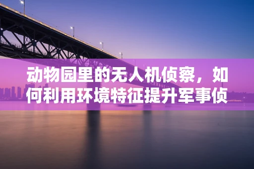 动物园里的无人机侦察，如何利用环境特征提升军事侦察效率？