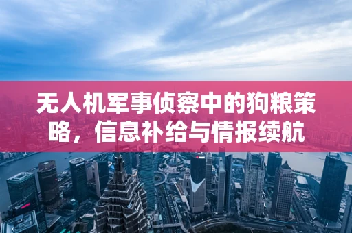 无人机军事侦察中的狗粮策略，信息补给与情报续航