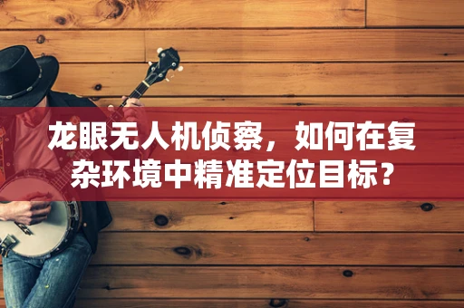 龙眼无人机侦察，如何在复杂环境中精准定位目标？
