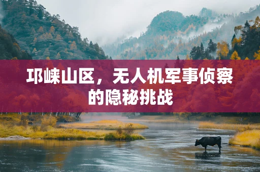 邛崃山区，无人机军事侦察的隐秘挑战